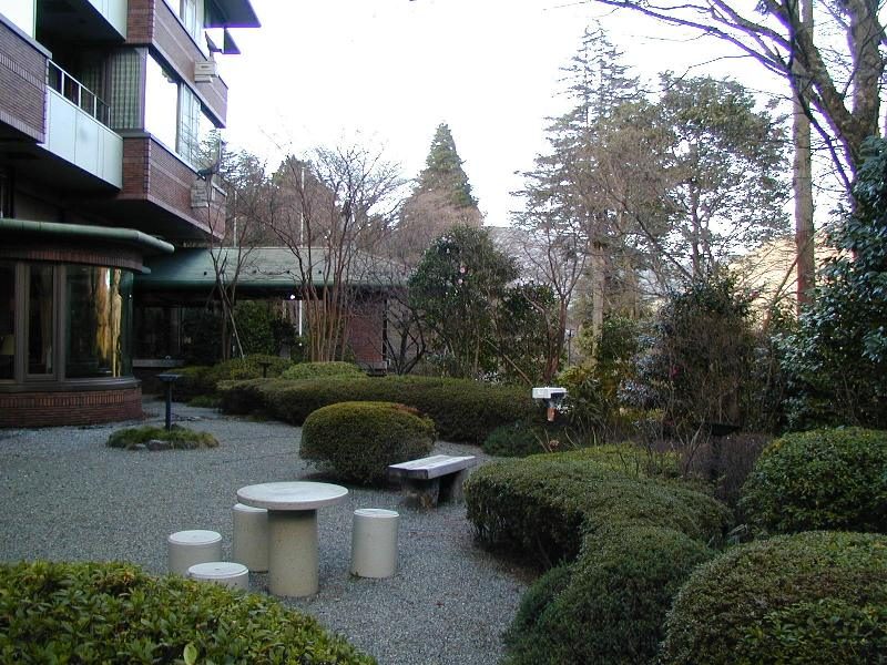 集合住宅の中庭に植えられた刈り込みの植栽