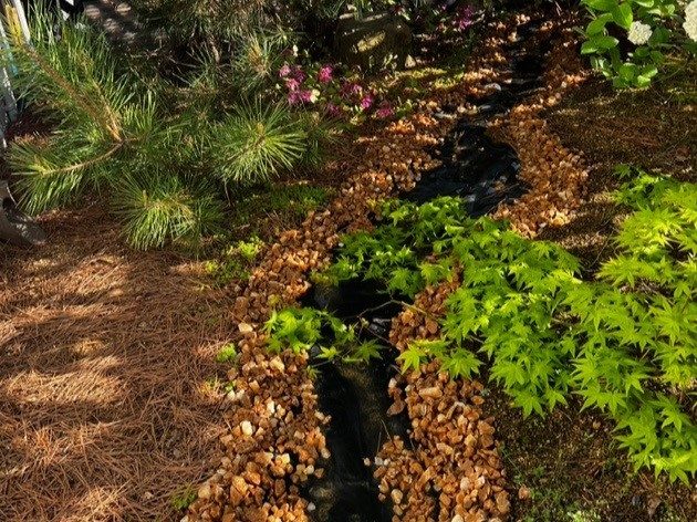 松の足元を流れる小川と植栽